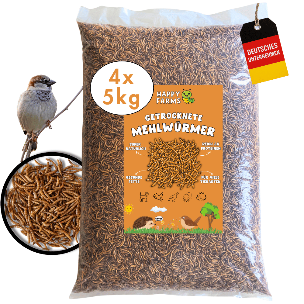 Mehlwürmer getrocknet