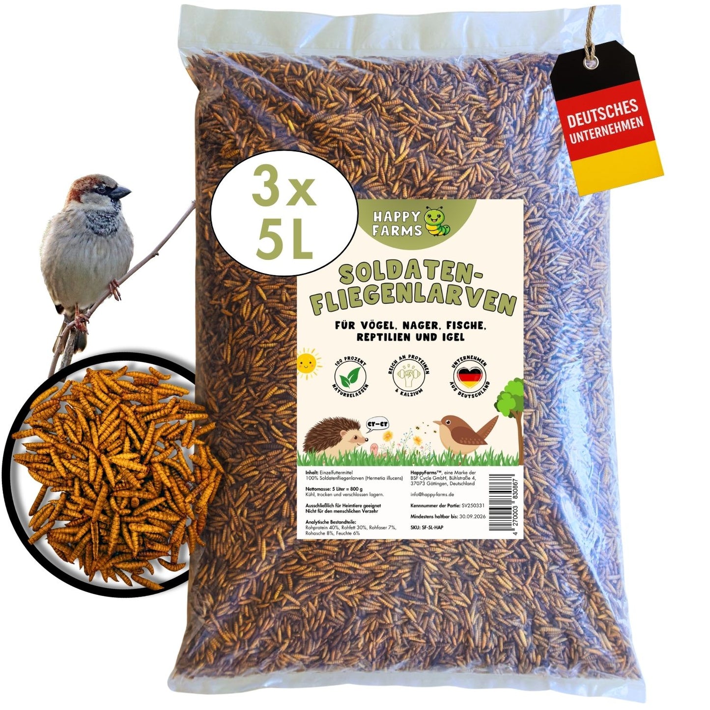 Soldatenfliegenlarven getrocknet