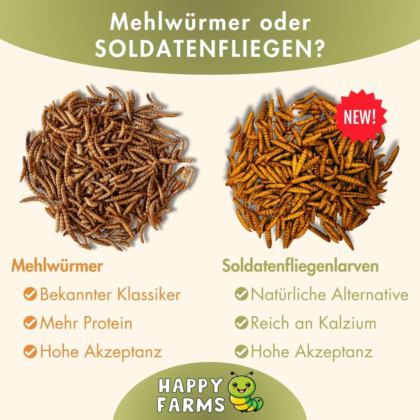Mehlwürmer oder Soldatenfliegenlarven?
