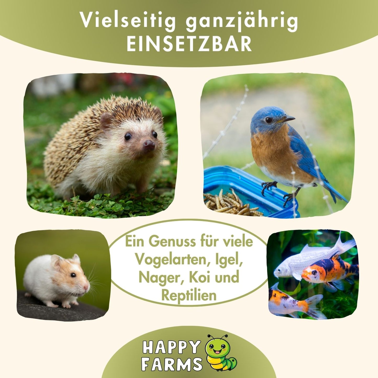 Vielseitig einsetzbar