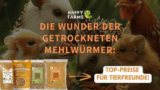 Die Wunder der getrockneten Mehlwürmer: Nährstoffreiche Snacks für Vögel, Igel, Raptilien