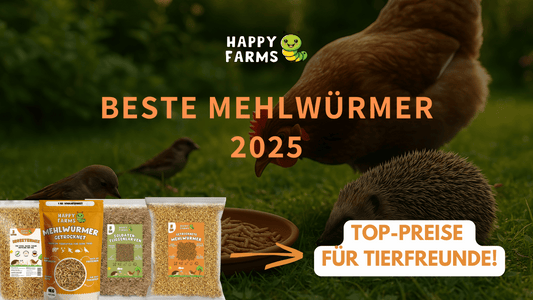 Beste Mehlwürmer 2025: Qualität, Herkunft & Kaufempfehlung