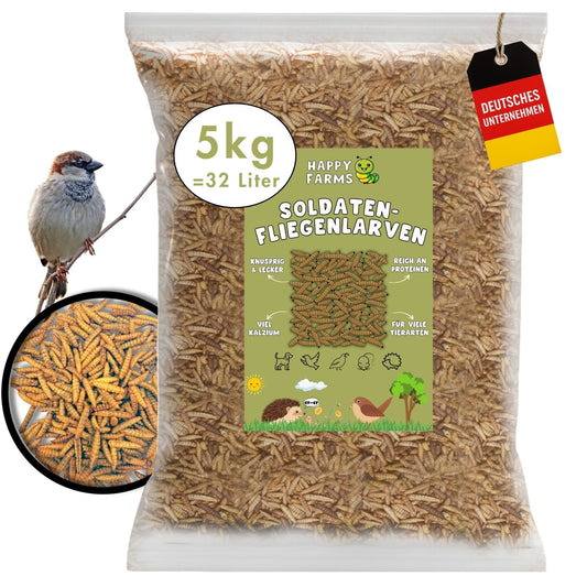 Soldatenfliegenlarven getrocknet