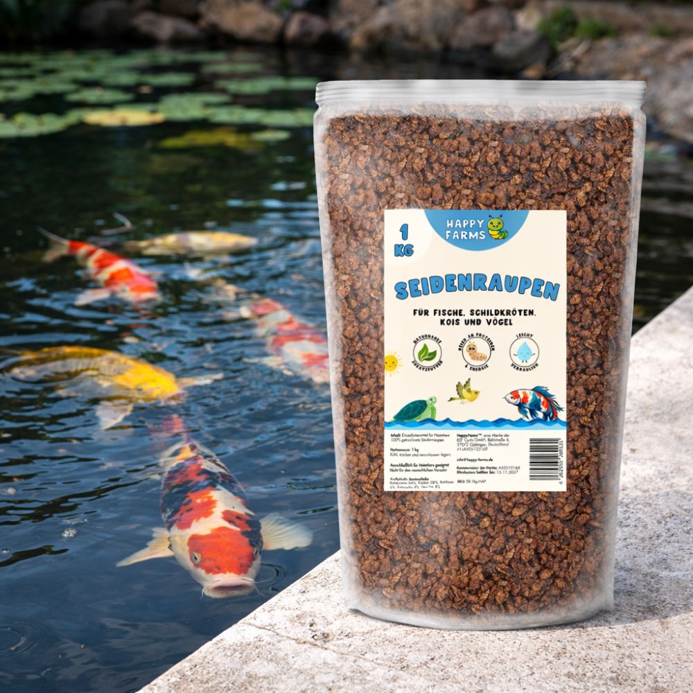 Seidenraupen für Koi, Fische und weitere Tiere