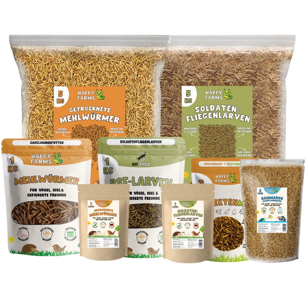 Soldatenfliegenlarven, Mehlwürmer in verschiedenen Größen von 1kg bis 5kg bis zu 20kg 
