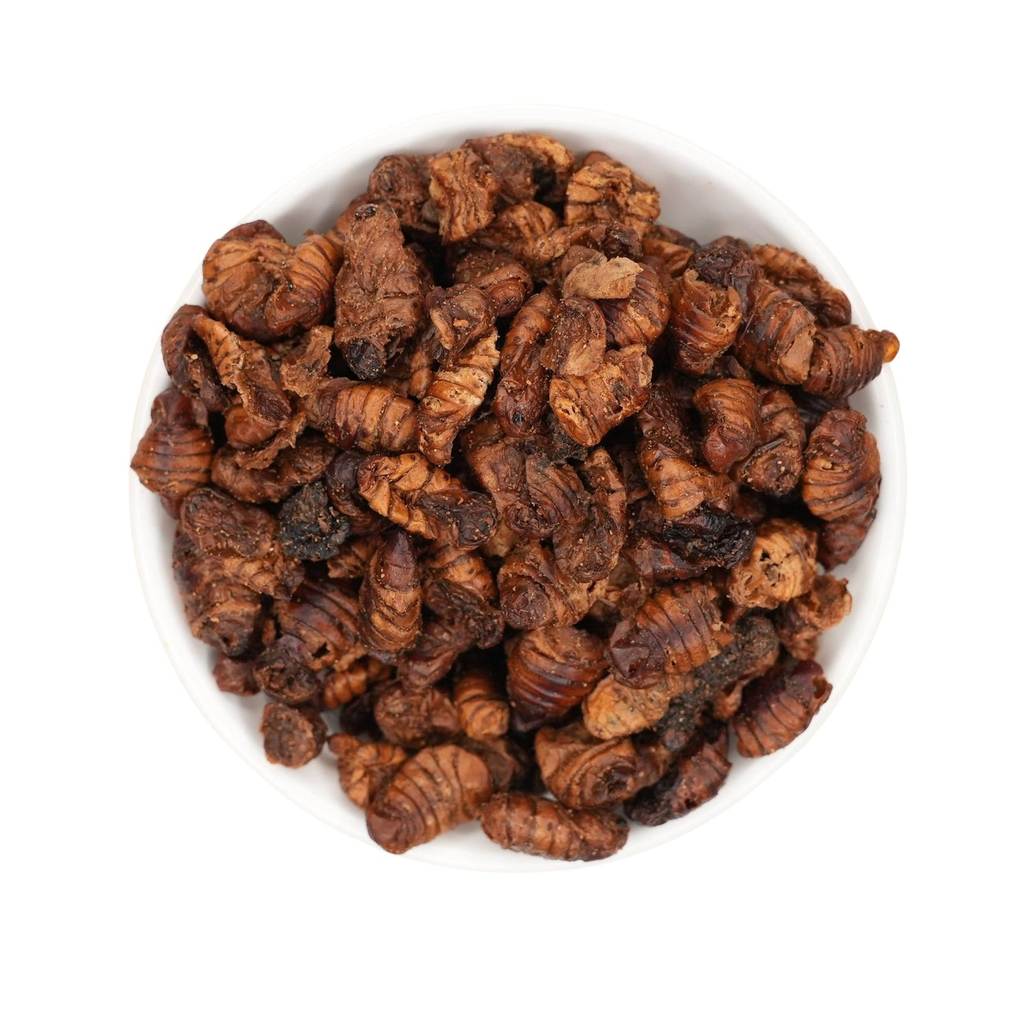 Seidenraupen 1kg kaufen