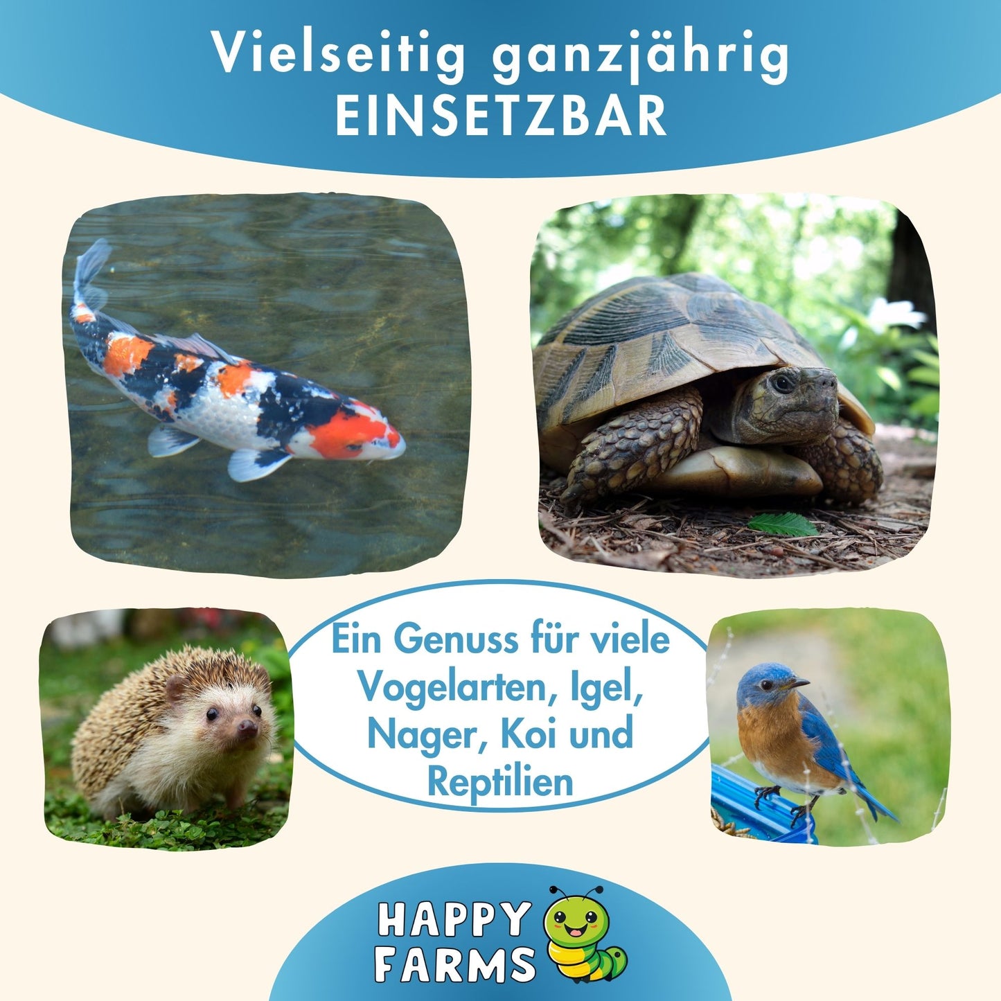 Seidenraupen sind für Kois, Schildkröten und viele andere Tiere geeignet